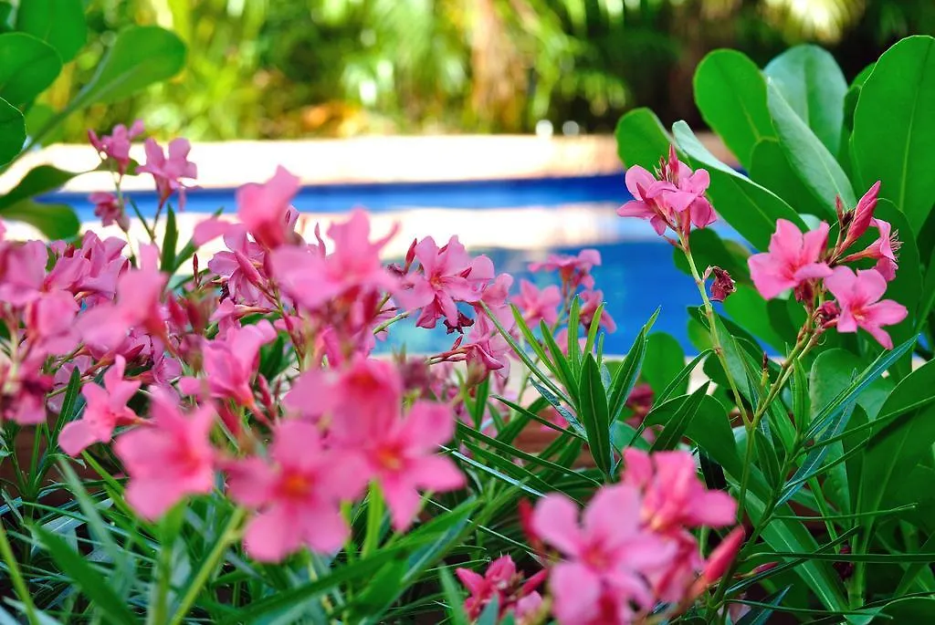 La Pasion Colonial Hotel Boutique By Bunik Playa del Carmen Mexiko