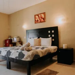 https://departamentos-mi-viejo-chit.quintano-roohotels.com
