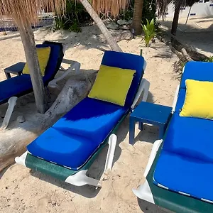 https://beachfront-hammock-heaven.quintano-roohotels.com